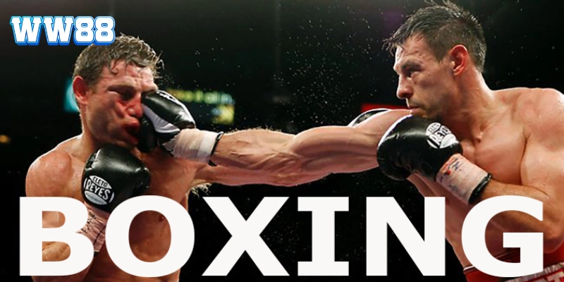 Các loại Cá Cược Quyền Anh phổ biến