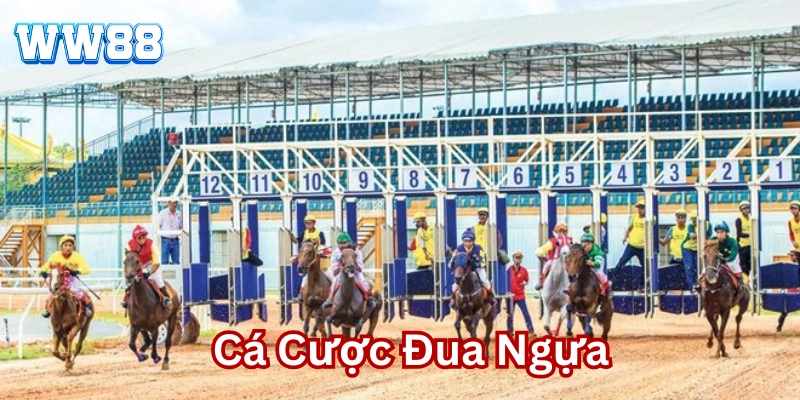 Cá Cược Đua Ngựa – Cơ Hội Bứt Phá Kiếm Tiền Đầy Túi Tại WW88